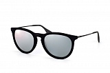 �������������� ���� Ray Ban Erika RB1
